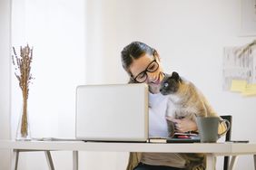 Young woman working at modern home office with a cat.