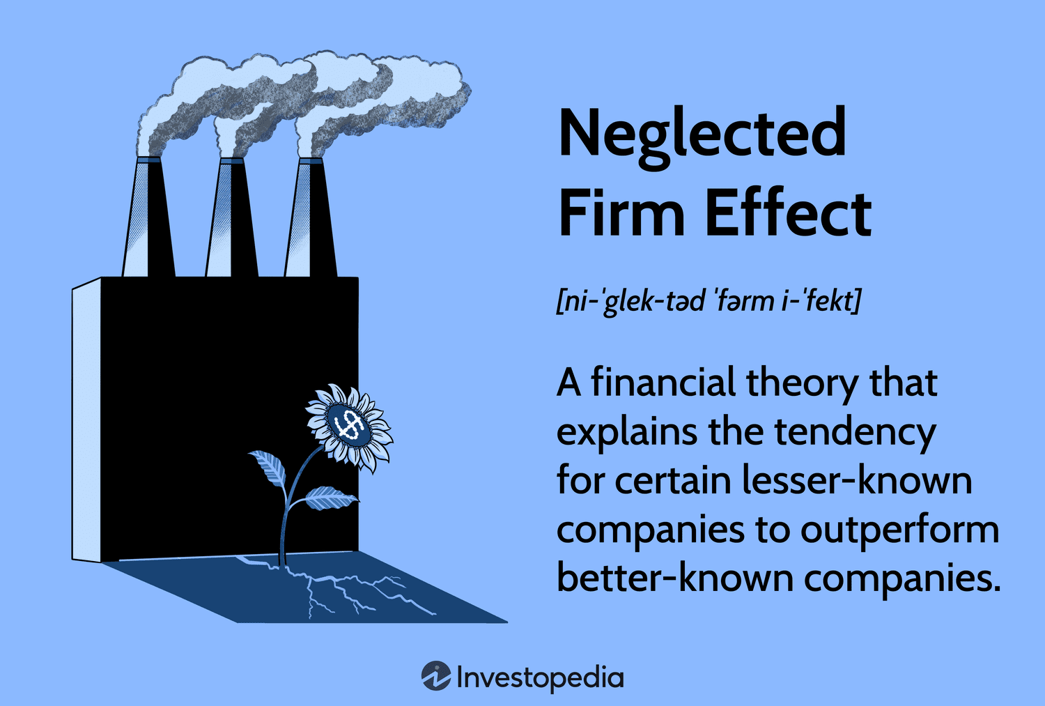 Neglected Firm Effect