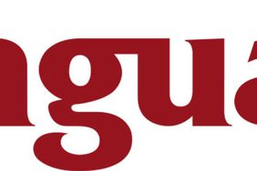 Vanguard Logo