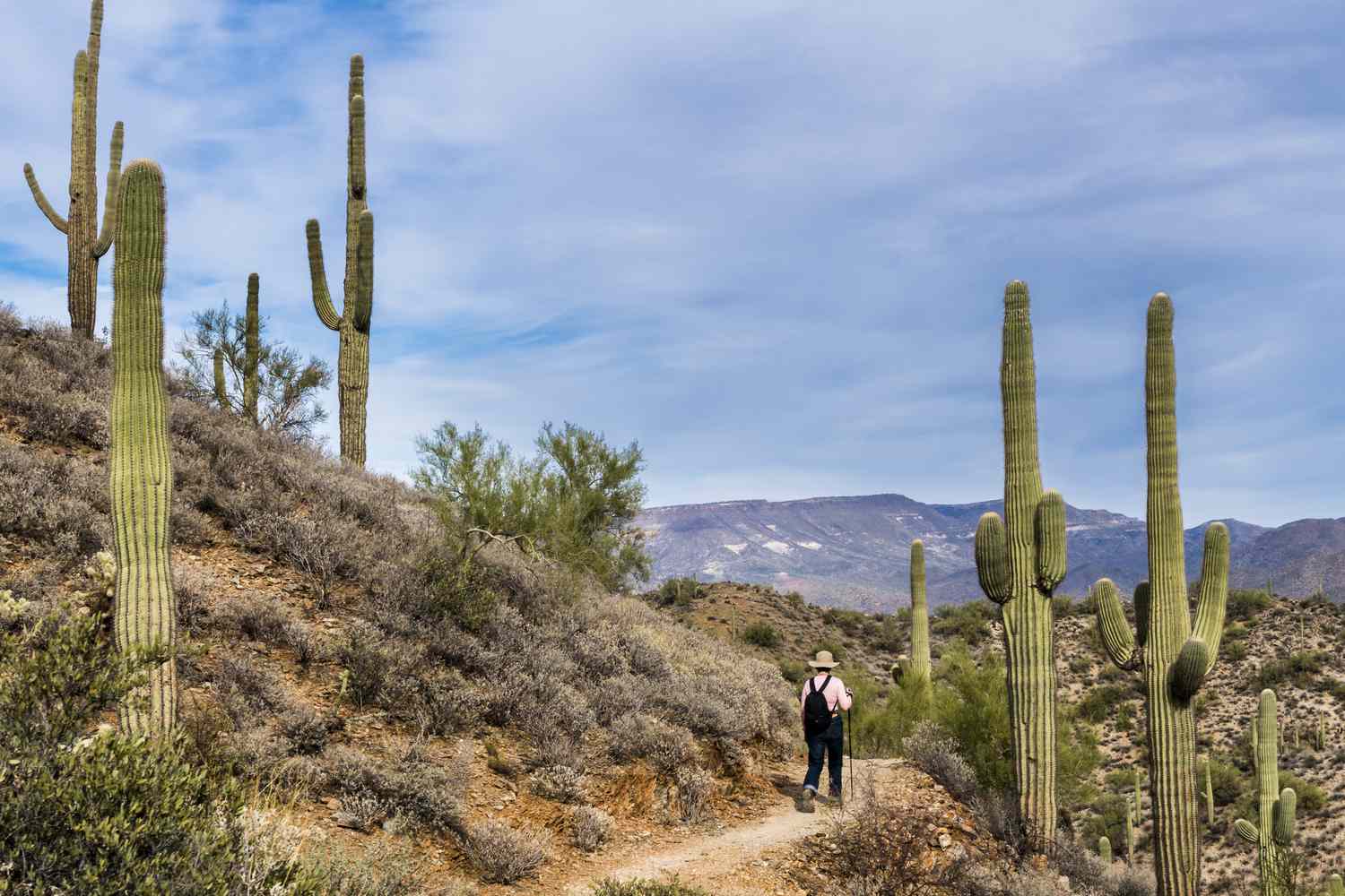 Woman hiking in Phoenix, Arizona with mountain views and cacti aroundl