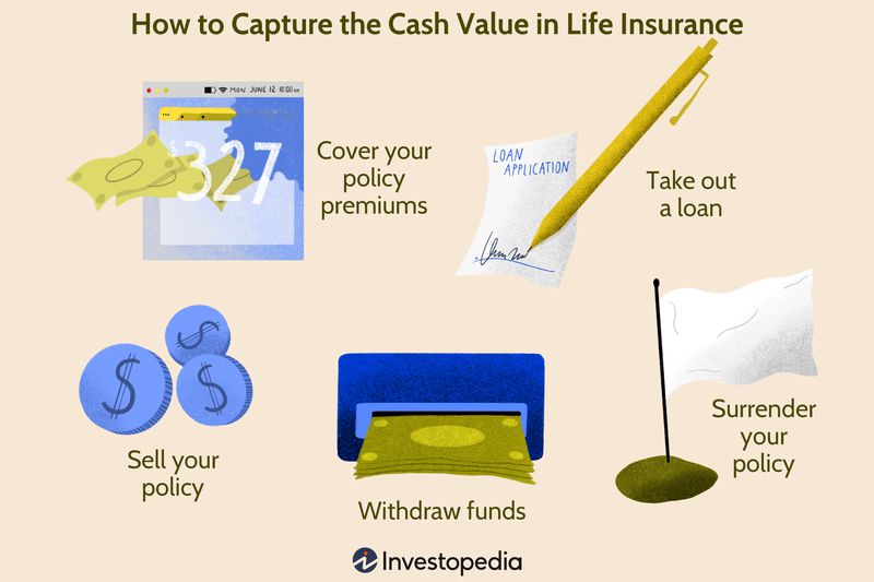chart showing how to capture the cash value in life insurance
