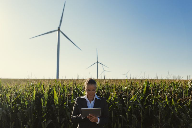 A woman checking a tablet by windmills on a farm