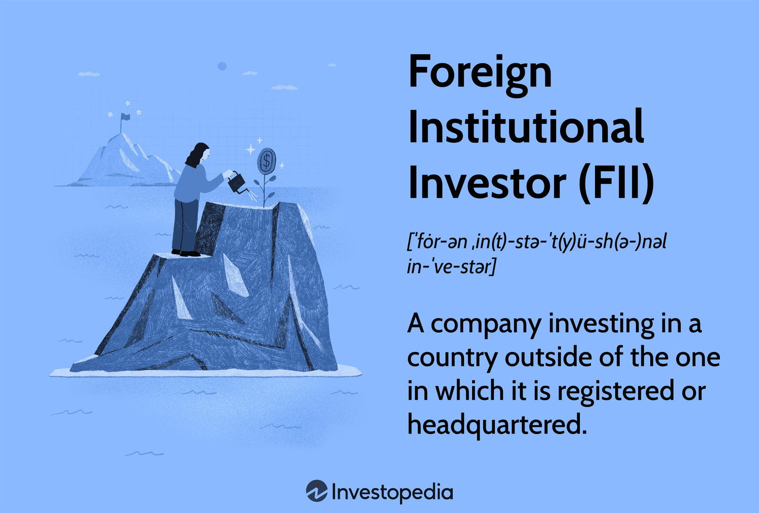 Foreign Institutional Investor (FII)