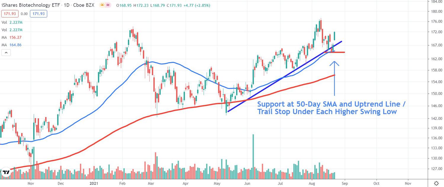 Chart depicting the share price of the iShares Biotechnology ETF (IBB)