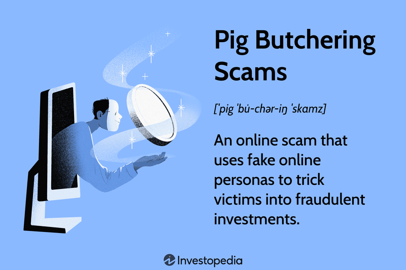 Pig Butchering Scams: An online scam that uses fake online personas to trick victims into fraudulent investments.