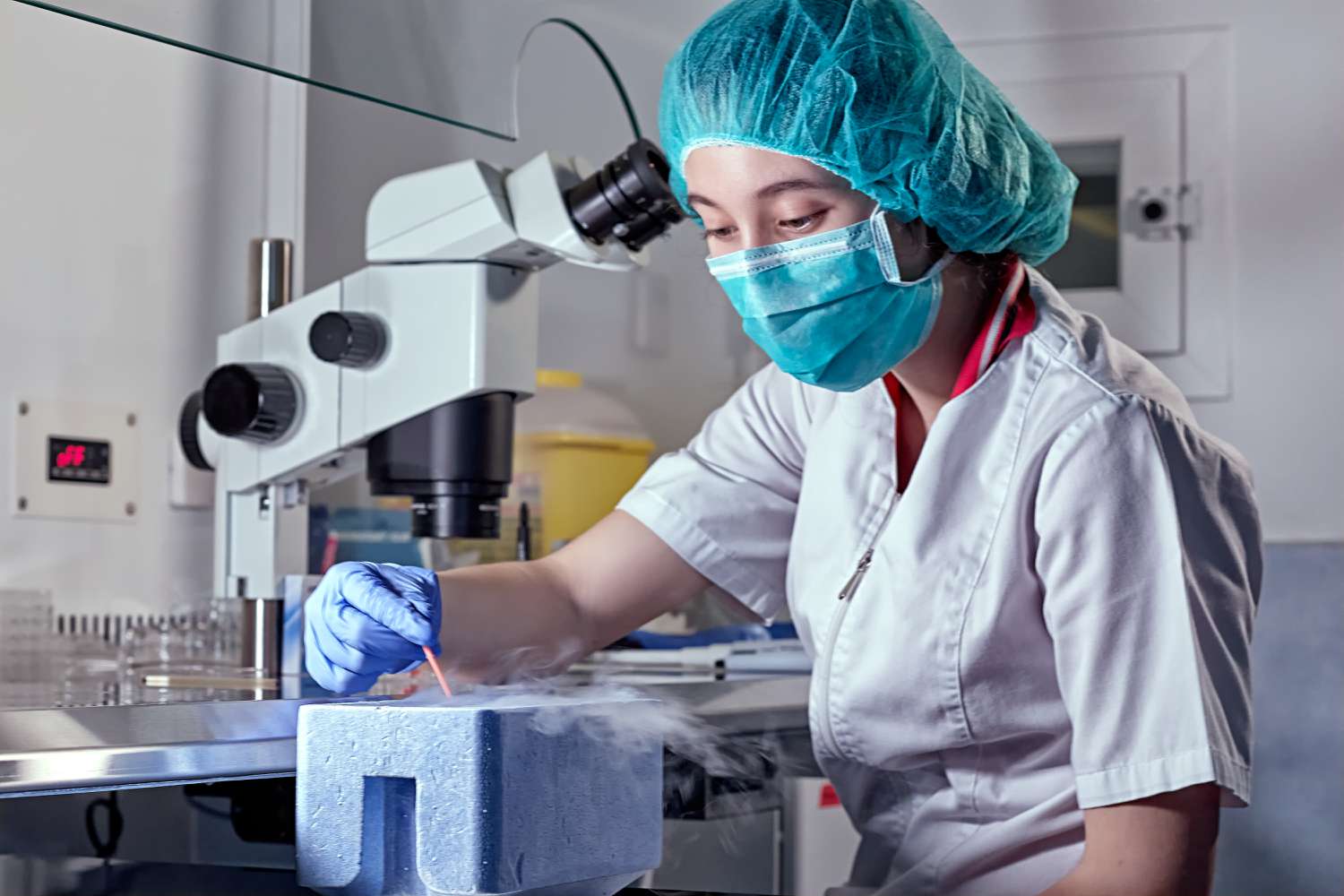 A technician works in a reproductive medicine clinic. 