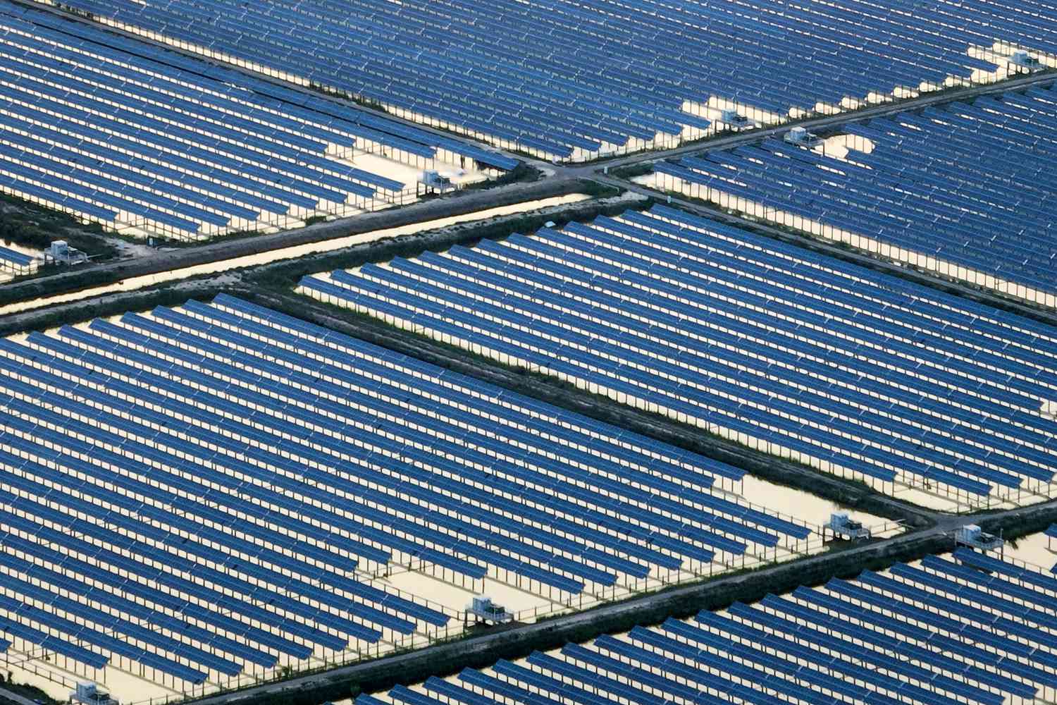 Solar panels in China earlier this month. 