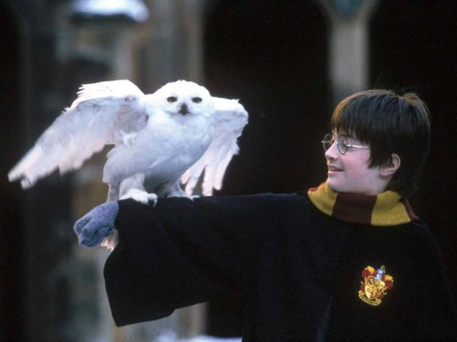 “Harry Potter and the Sorcerer’s Stone”