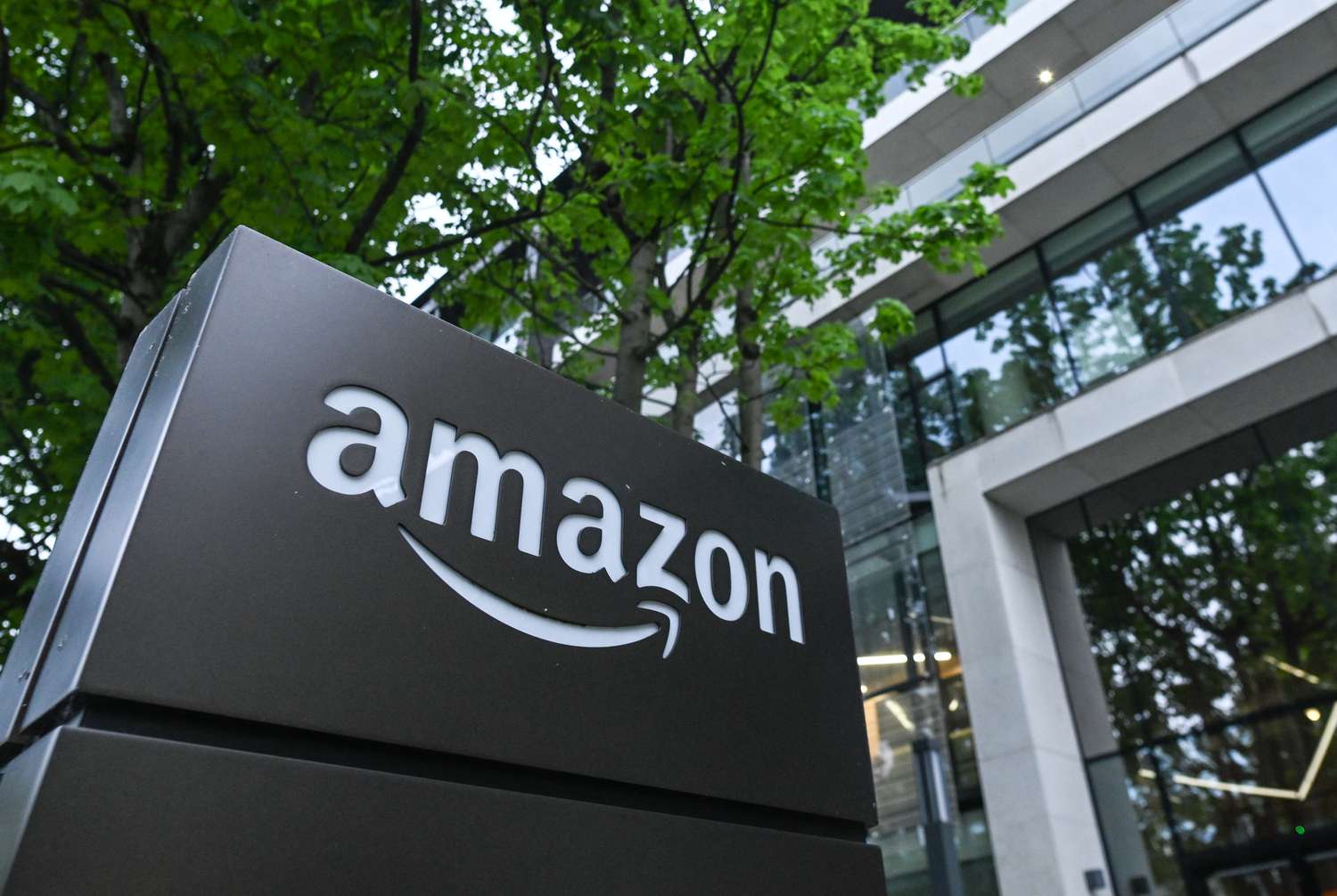 Amazon Dublin