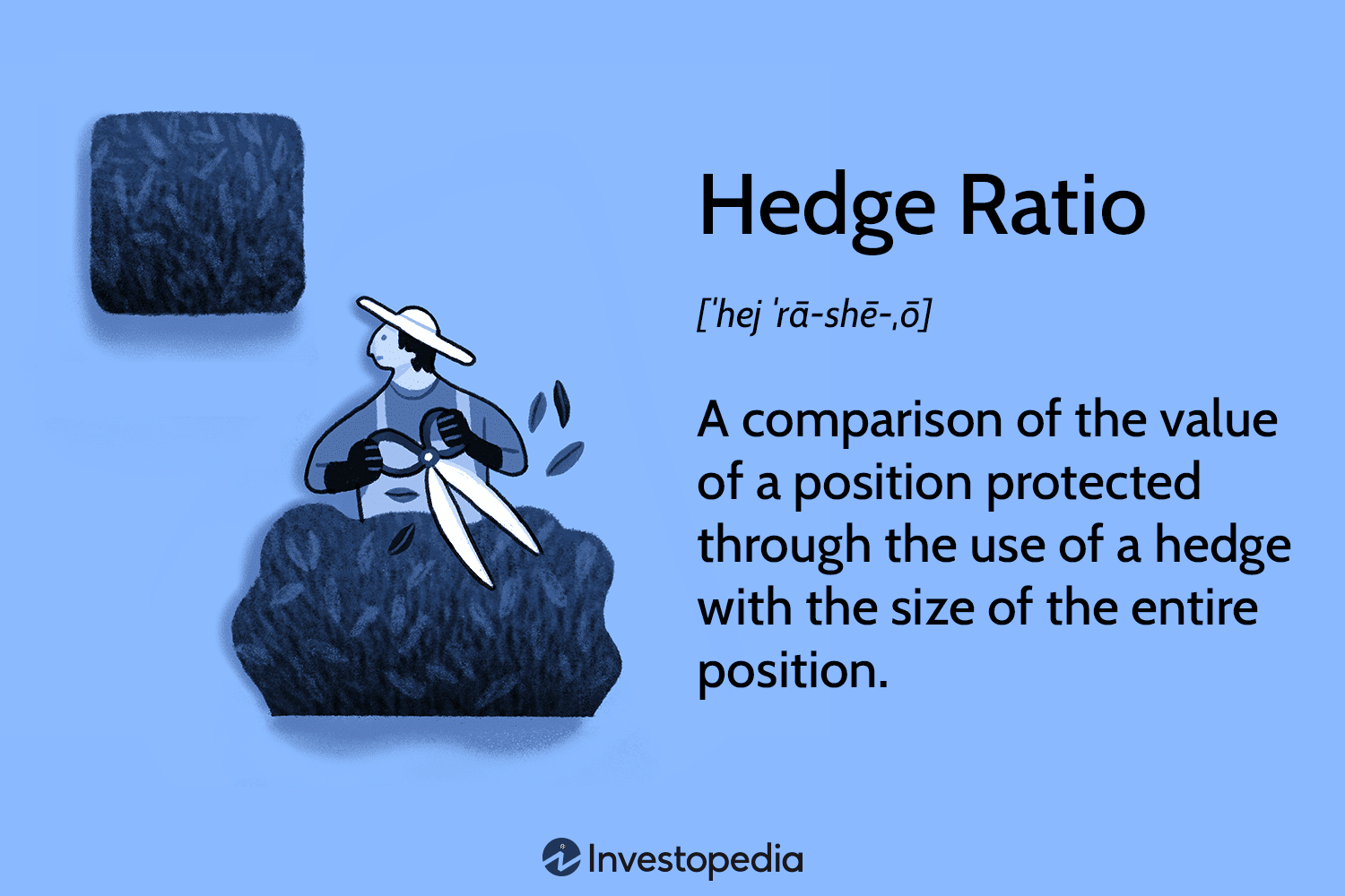 Hedge Ratio