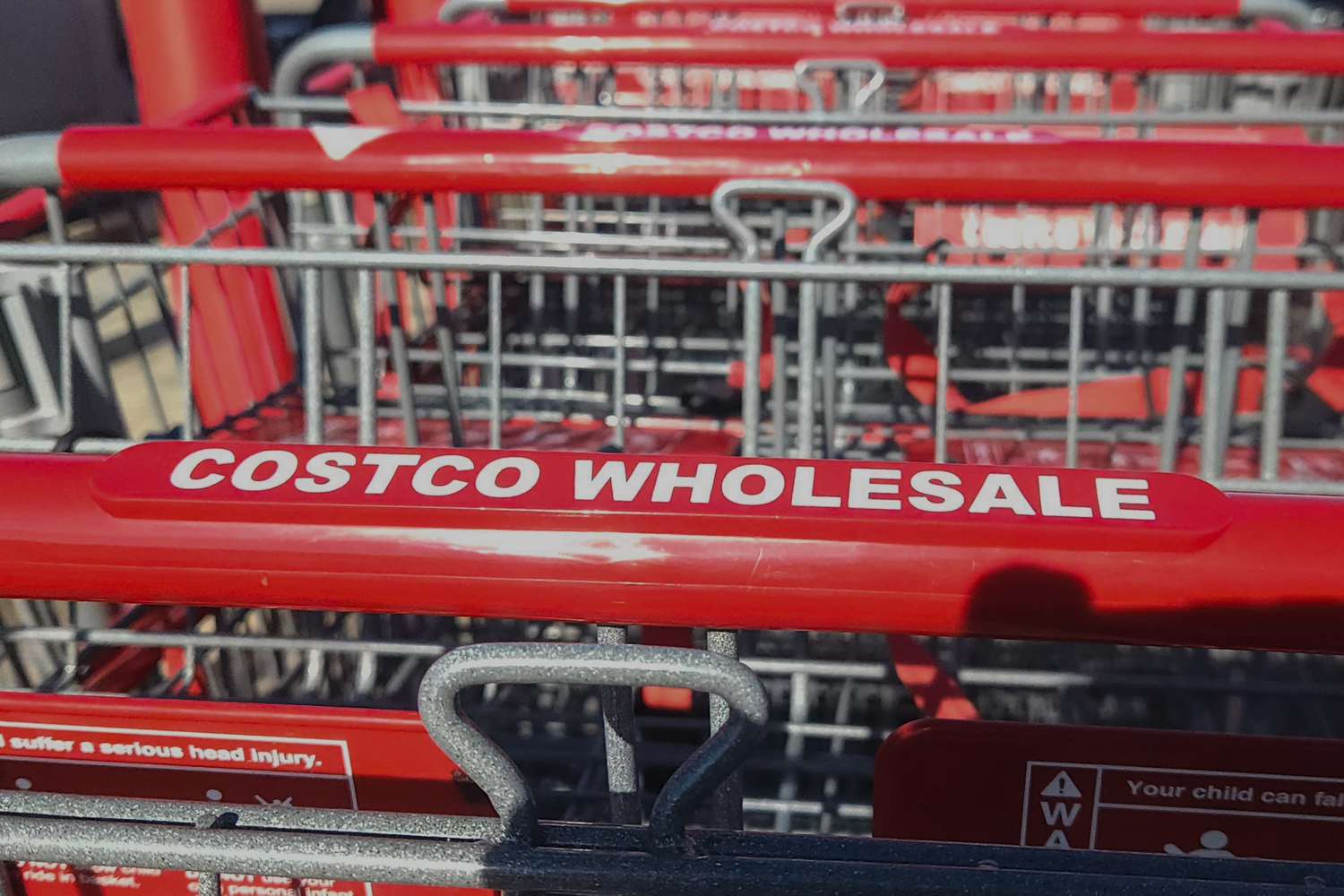 COSTCO Wholesale shopping carts