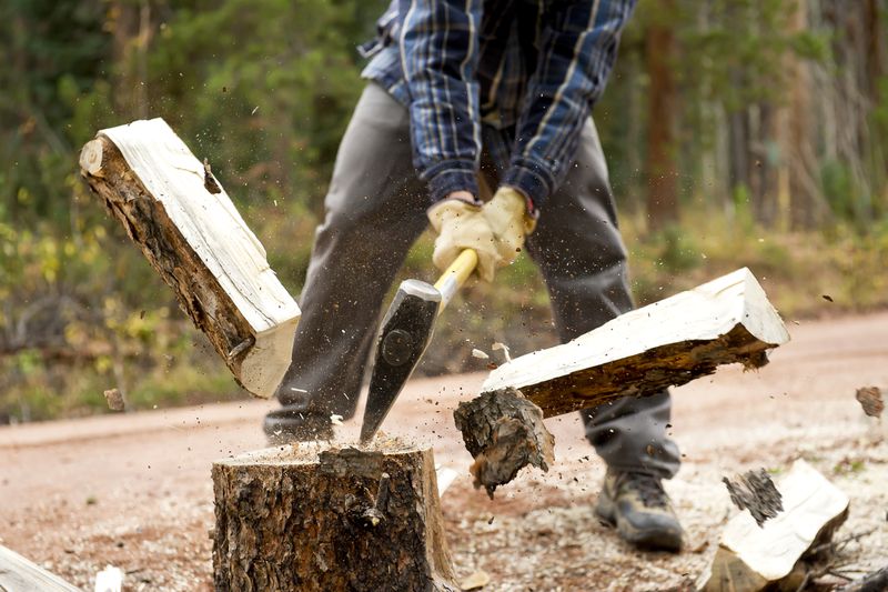 A log breaks into two pieces as a person splits it in half with an ax,