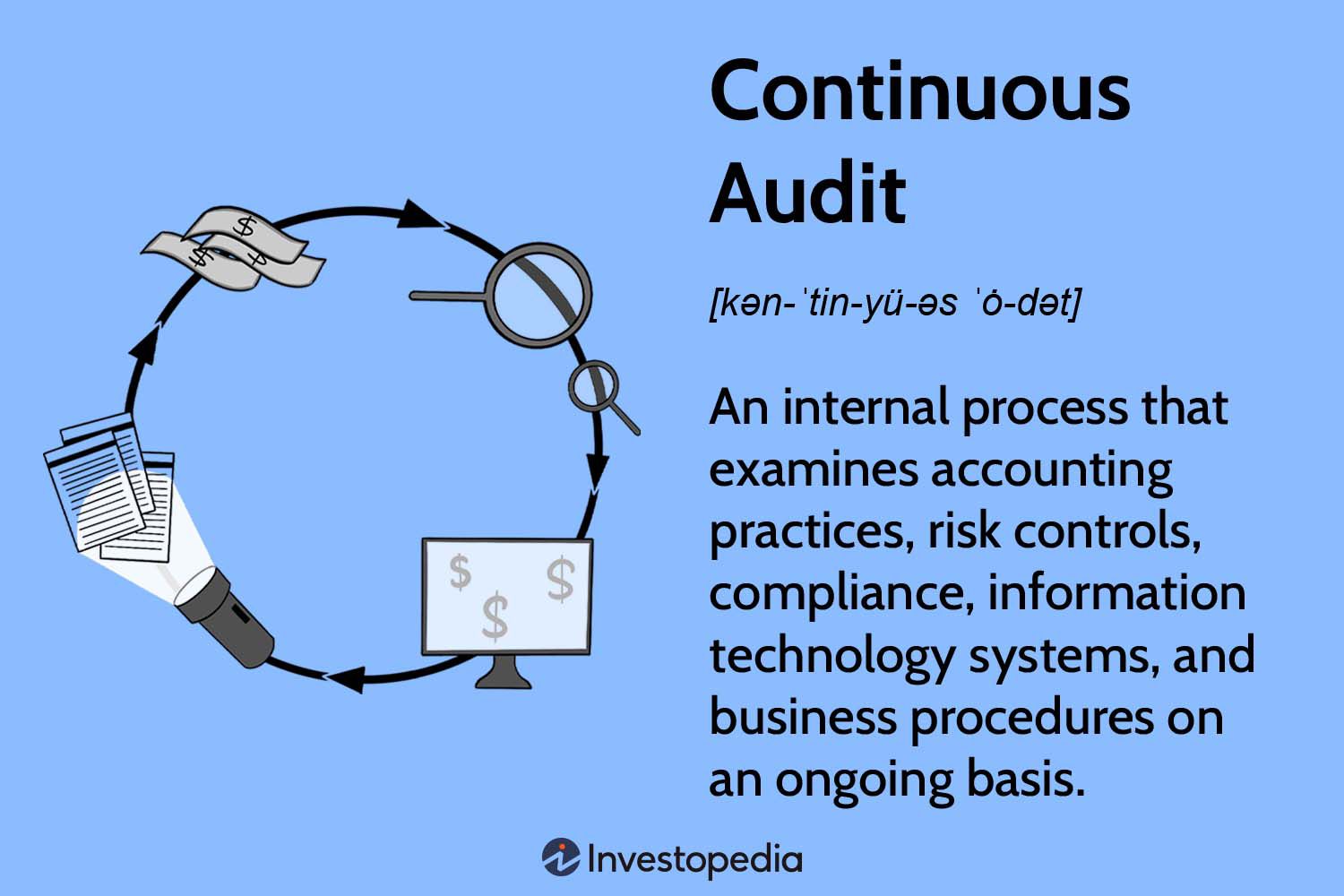 Continuous Audit