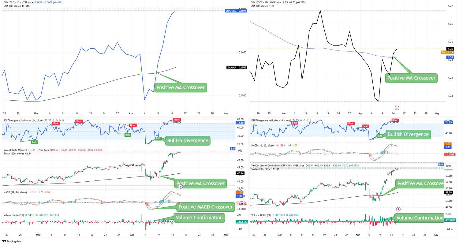 Gold Miner ETF Workspace