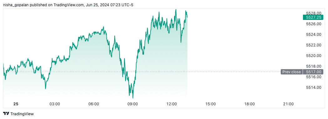 S&P futures (June 25th, 2024).