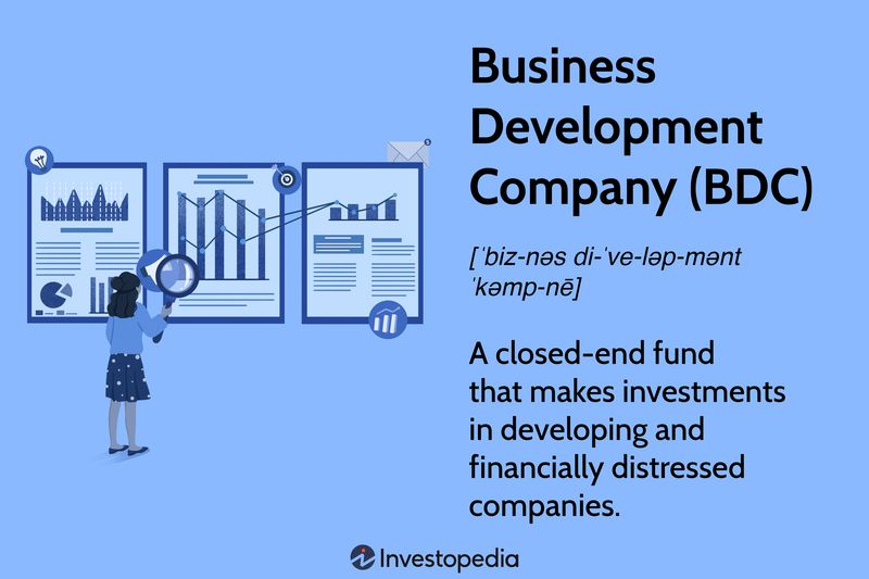 Business Development Company (BDC)