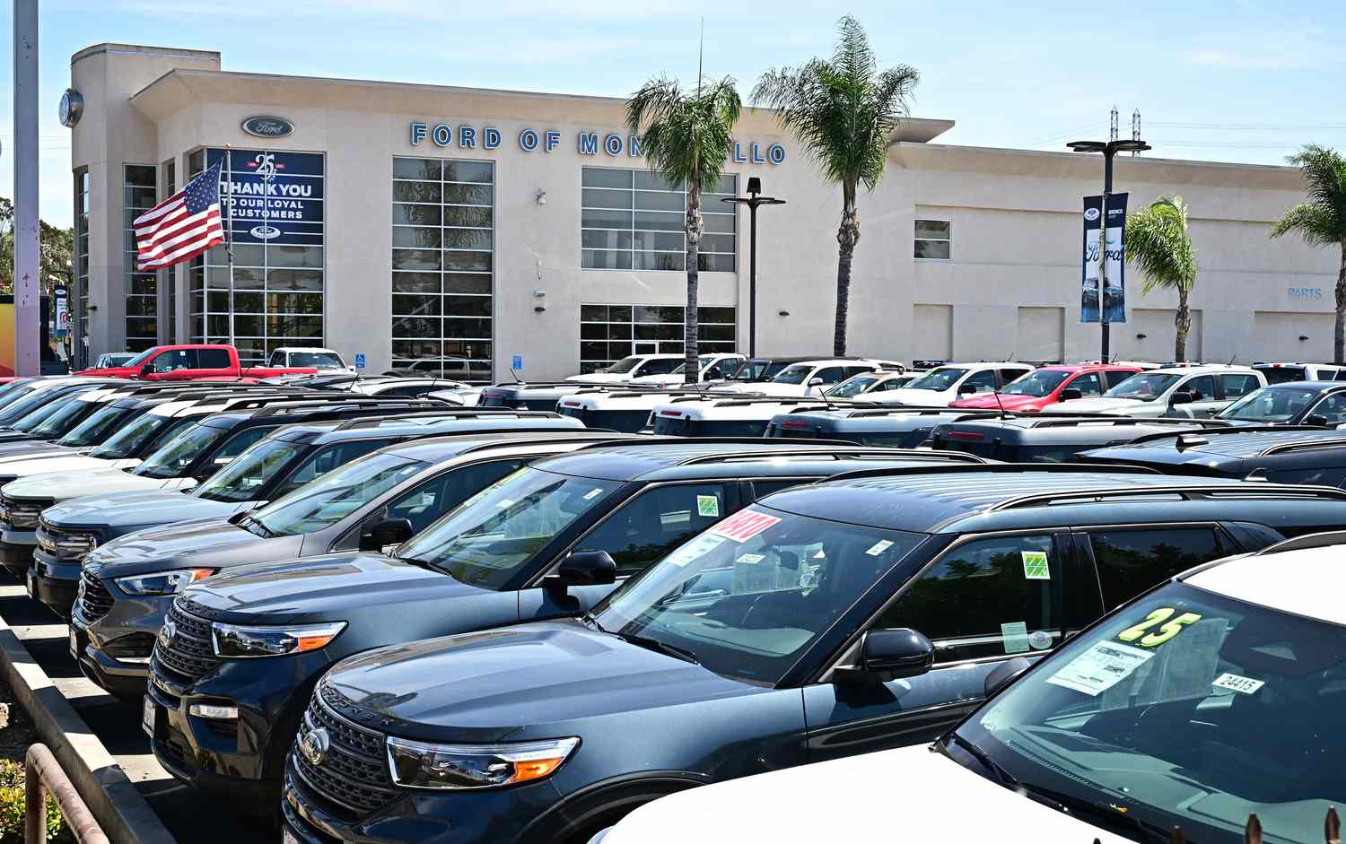 Cars parked in a Ford lot.