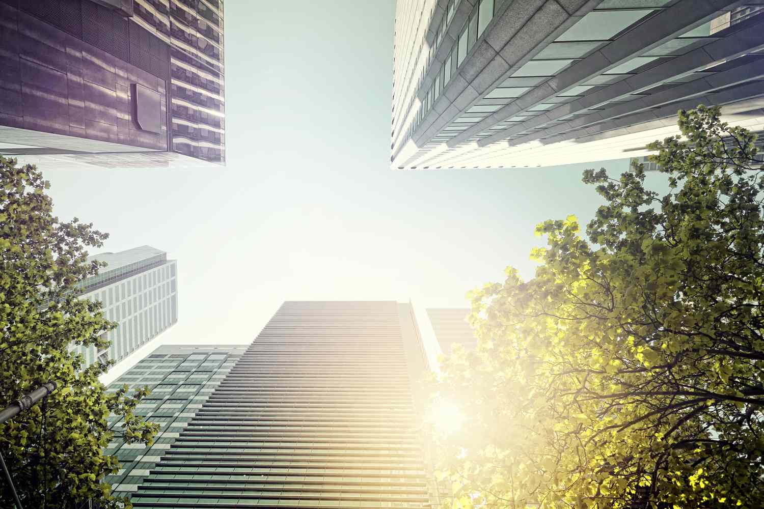 Looking up at skyscrapers and trees to a blue sky and sunshine