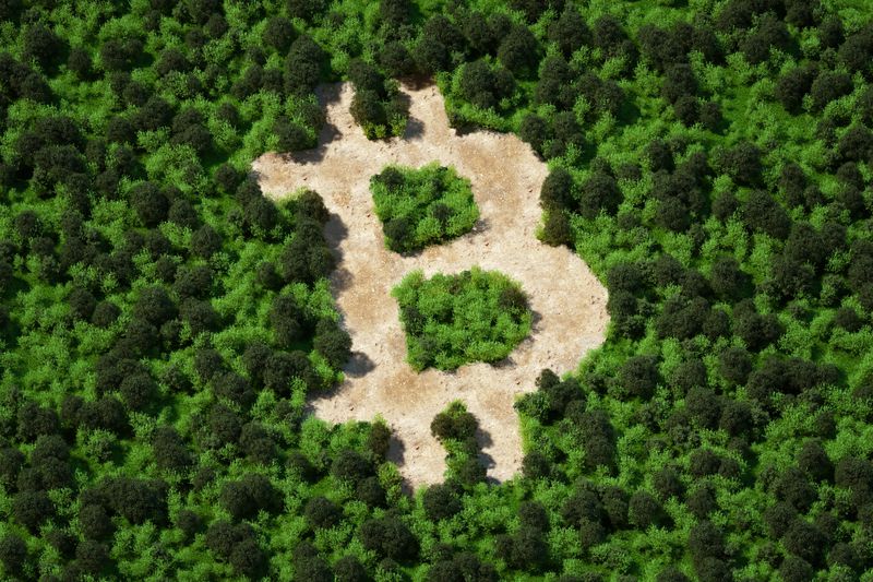 Bitcoin symbol cut out of a forest arial view. 