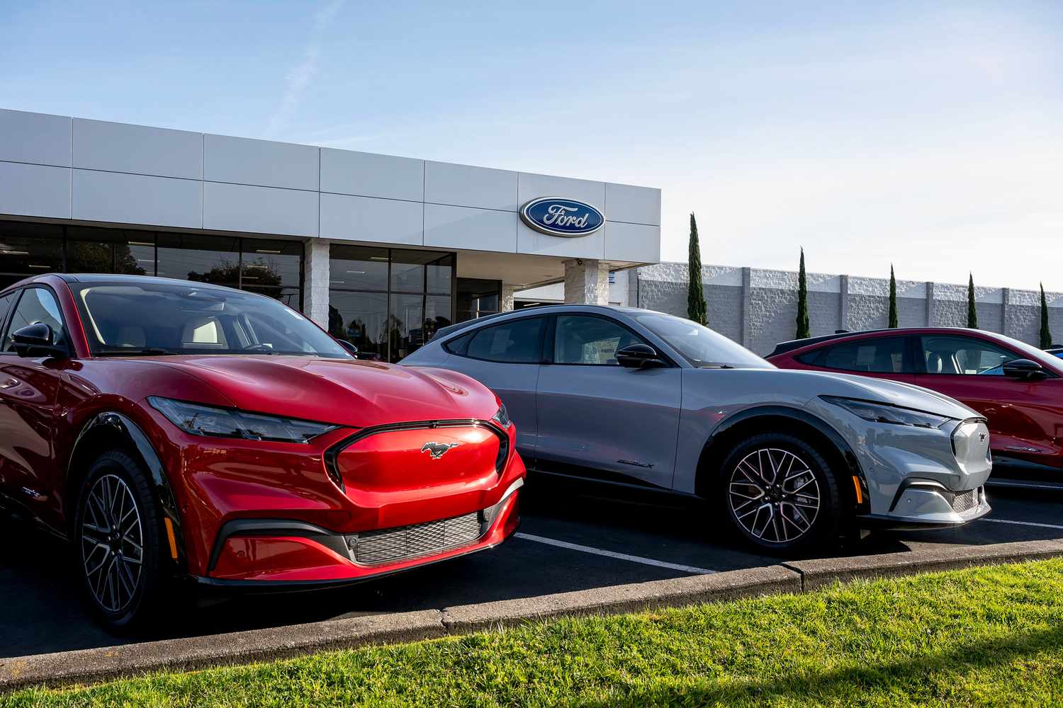 Ford Mach-E EV vehicles at a Ford dealership 