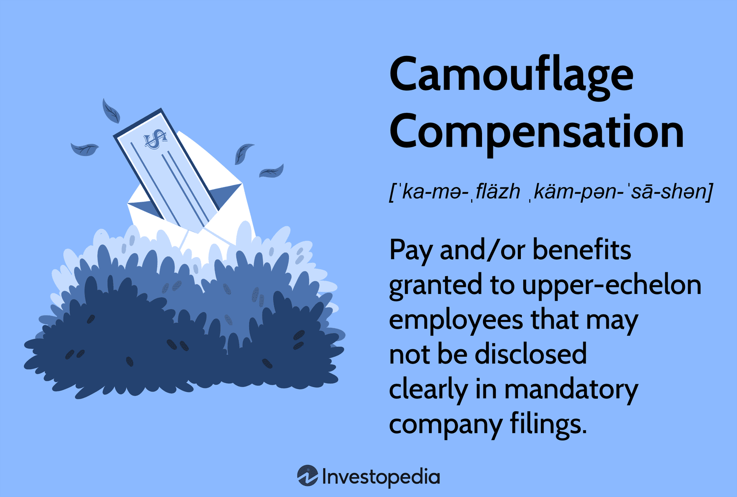 Camouflage Compensation