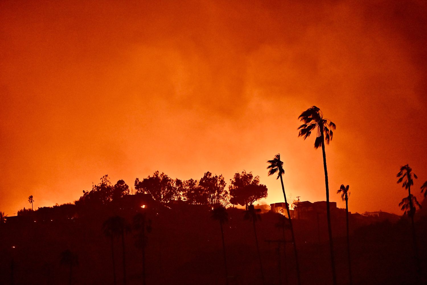 Homes burn above Pacific Coast Highway near Will Rodgers State Beach during the Palisades Fire on Jan. 8, 2025, in Pacific Palisades, California