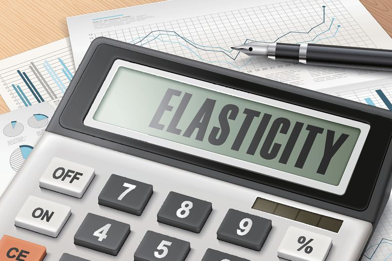 A Calculator That Says Elasticity on Paperwork