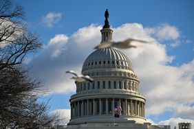 The US Capitol