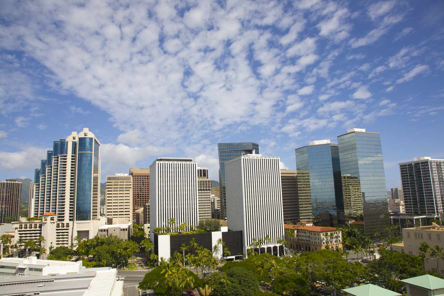 tall modern office towers and residential buildings in the background with a lush green park in the foreground under a blue sky with wispy white clouds on a sunny day in Honolulu