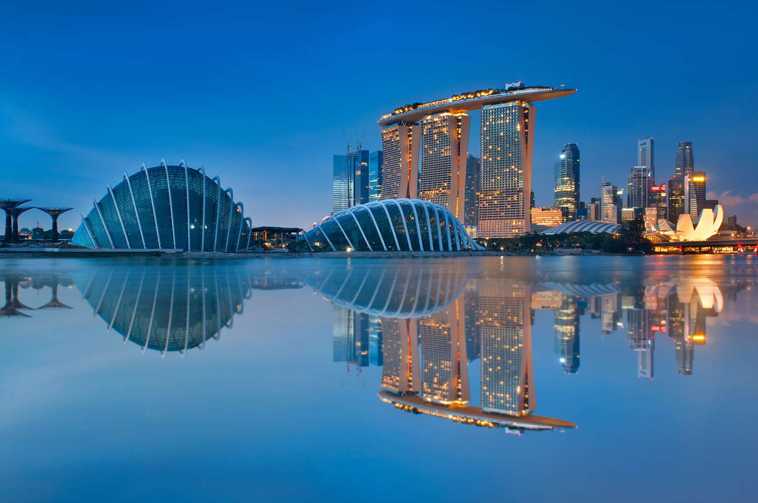 Gardens by the Bay and Singapore skyline reflection on blue water at blue hour in Singapore.