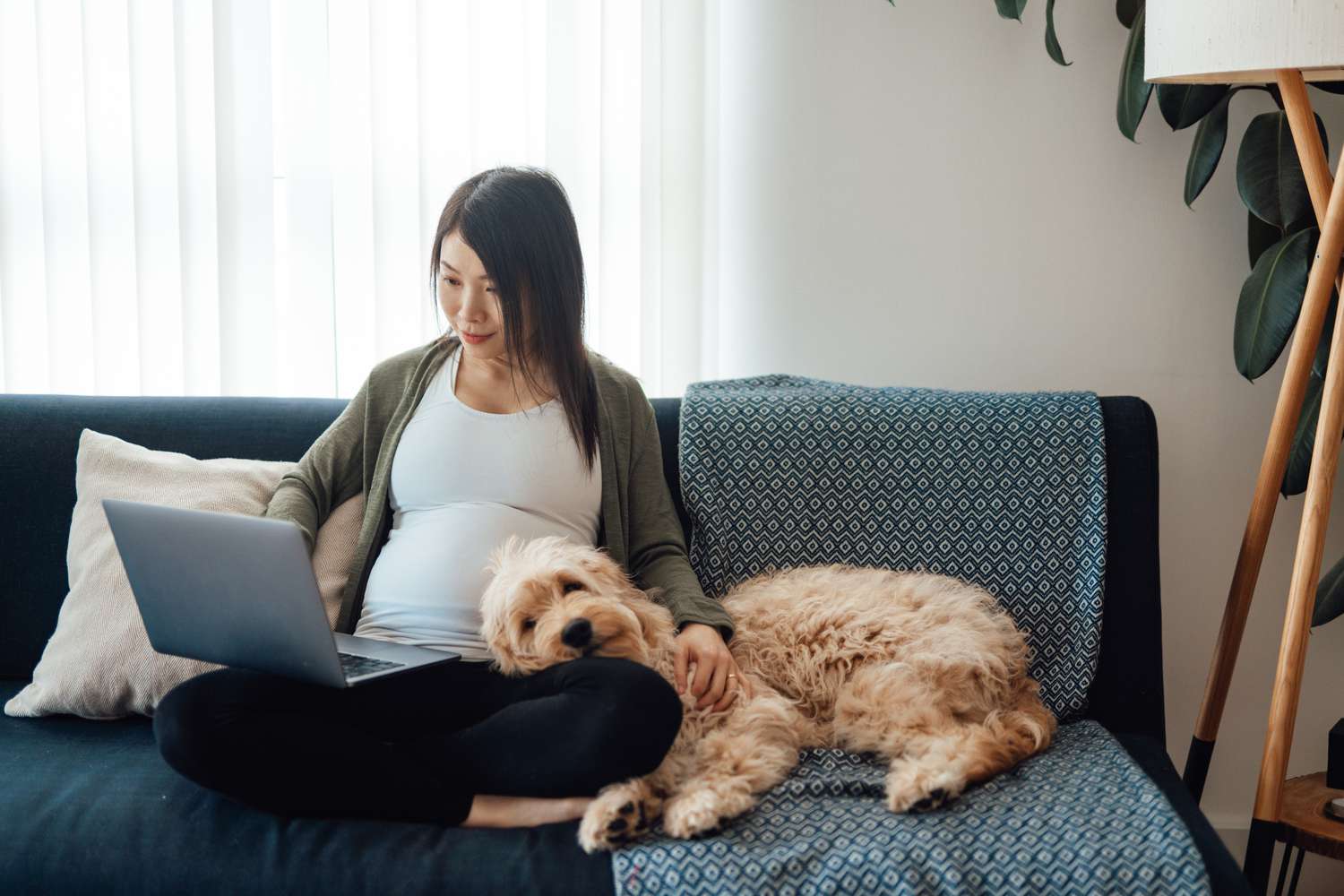A woman sits on a couch with a laptop and her dog