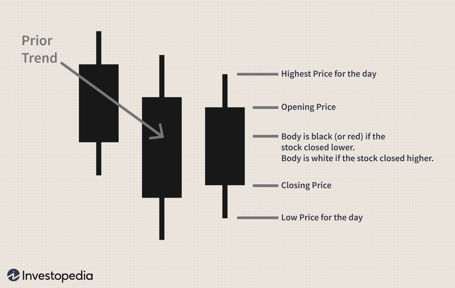 Bullish Homing Pigeon