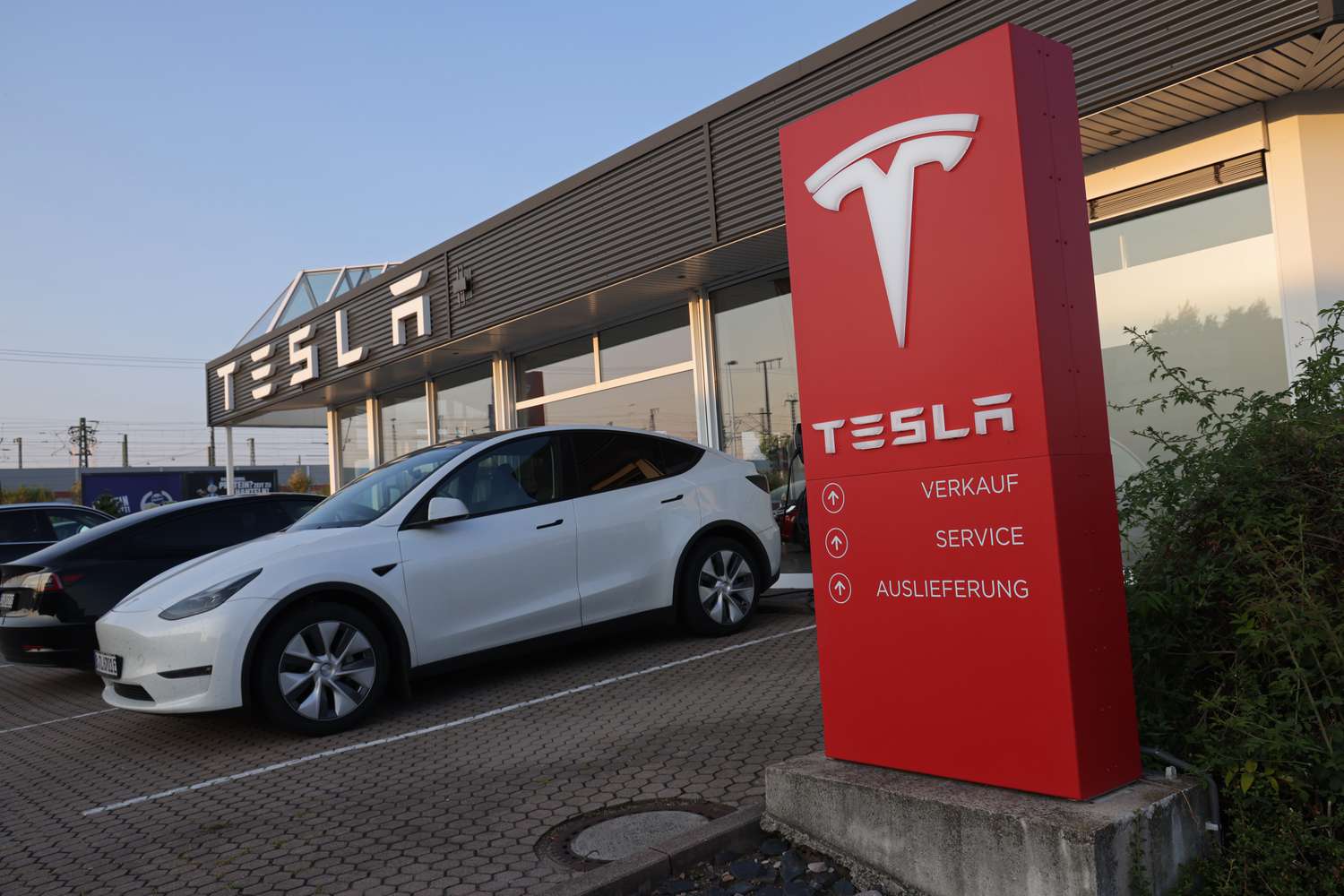 Tesla dealership.