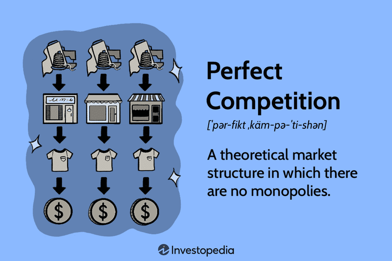 Perfect Competition