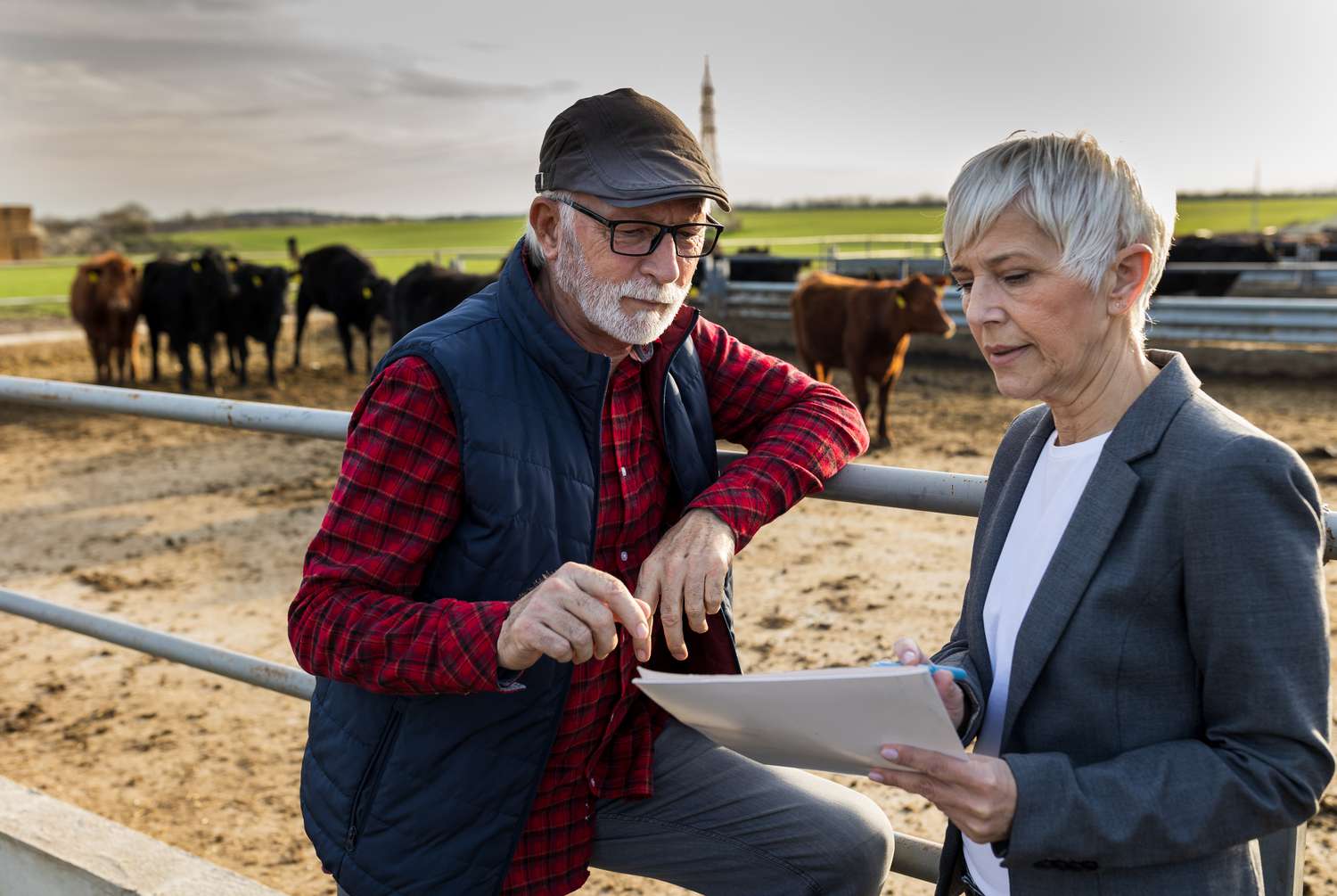 Mature farmer talking to finance consultation about applying for a USDA loan