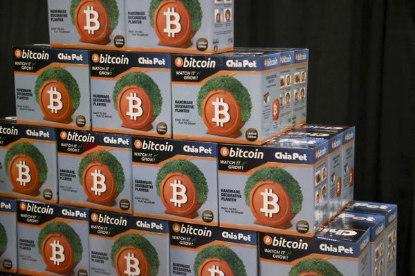 Bitcoin themed Chia Pets sit on display during The Bitcoin Conference at The Venetian Las Vegas in Las Vegas, Nevada, on May 27, 2025.