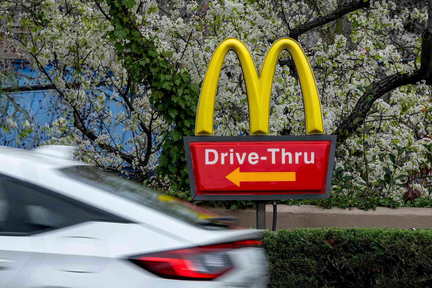 The "Golden Arches" are seen on a McDonald's Drive-Thru sign, with a white car driving by and white and green plants in the background.