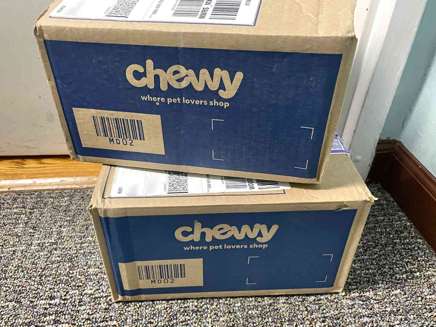 Boxes of pet supplies delivered from Chewy