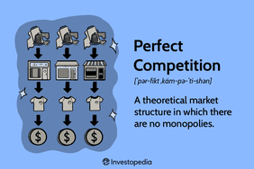 Perfect Competition