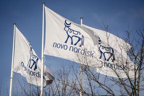 The blue Novo Nordisk logo is seen on a group of white flags around tree branches and a blue sky.