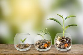 Investment concept. Growth plant on coins three step in clear glass bottle on wooden table with green blurred background and light. Conceptual saving money for growing business and future