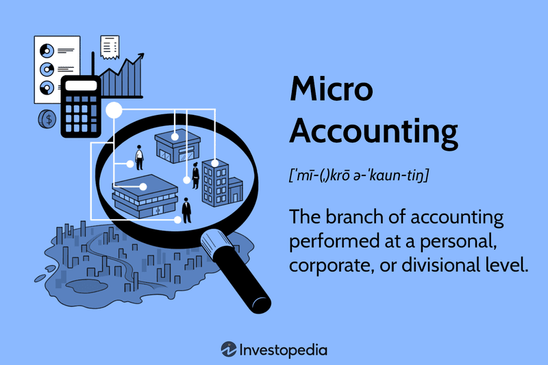 Micro Accounting