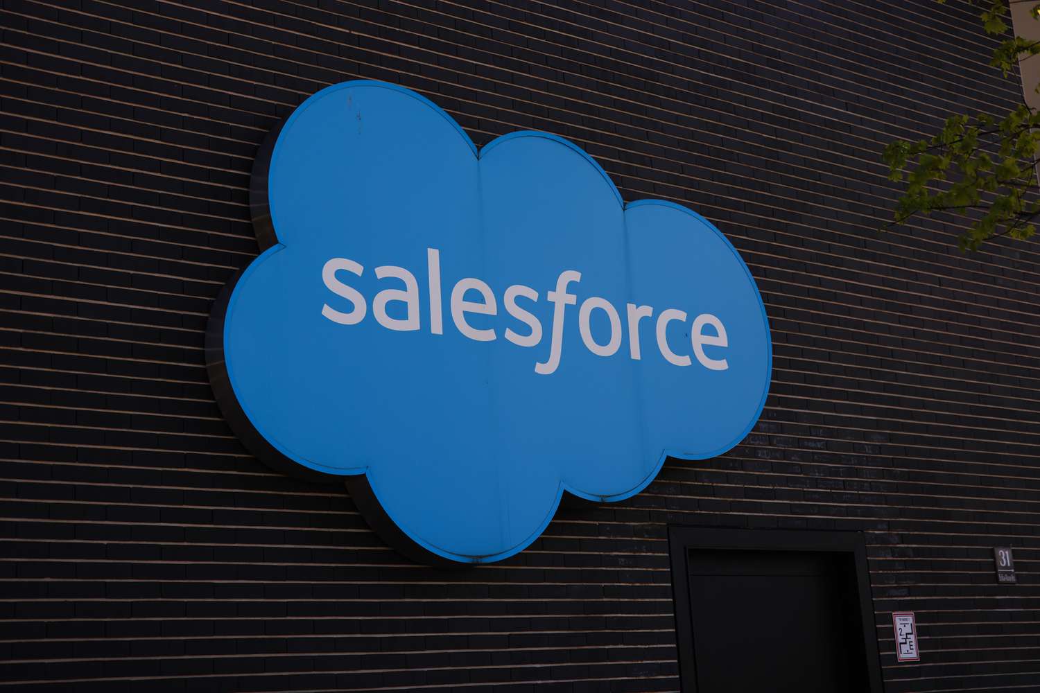 Salesforce Logo