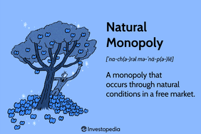Natural Monopoly: A monopoly that occurs through natural conditions in a free market.