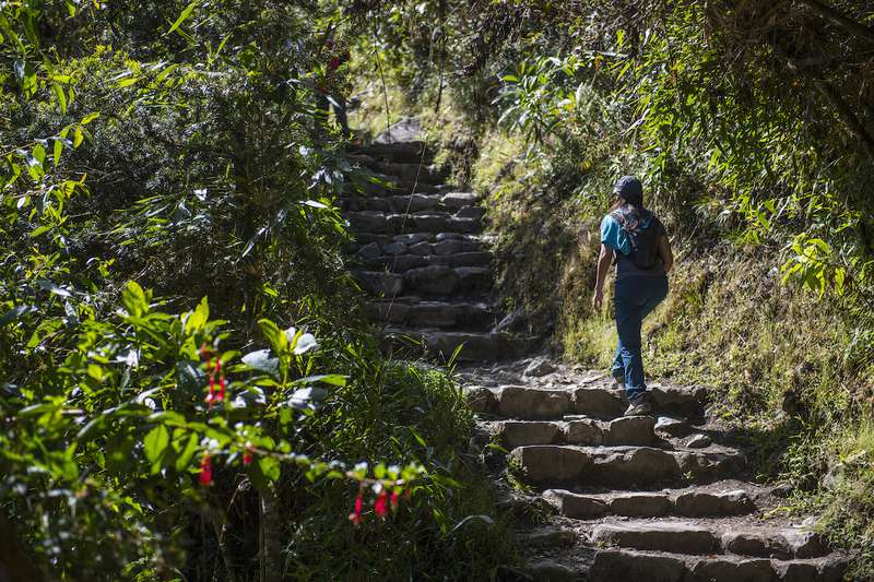 Hiking the Inca Trail