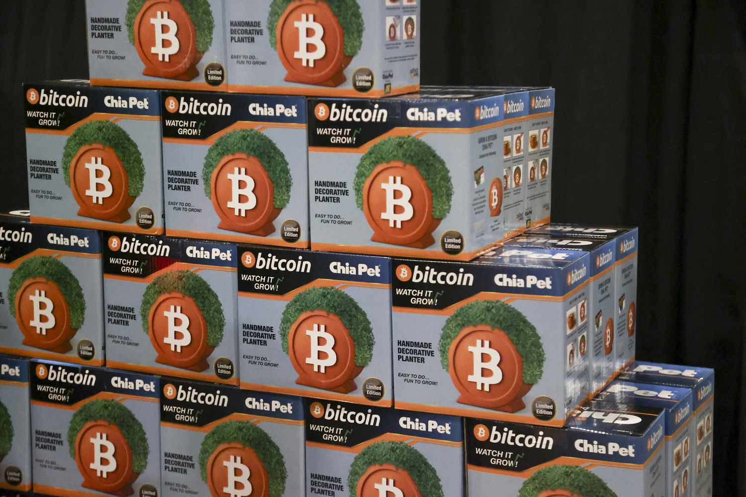 Bitcoin themed Chia Pets sit on display during The Bitcoin Conference at The Venetian Las Vegas in Las Vegas, Nevada, on May 27, 2025.