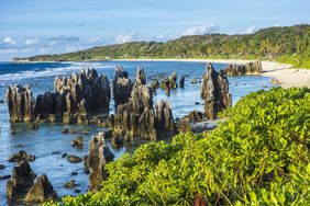 Naurus rocky coastline