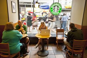 People sit at a Starbucks in New York. 