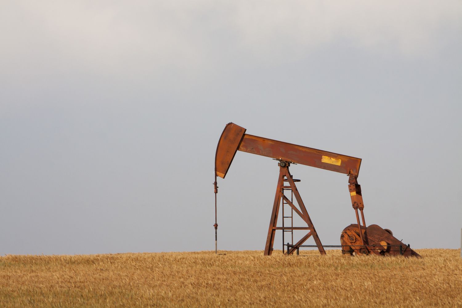 A single oil pump in the center of a field pumps crude oil from a well.