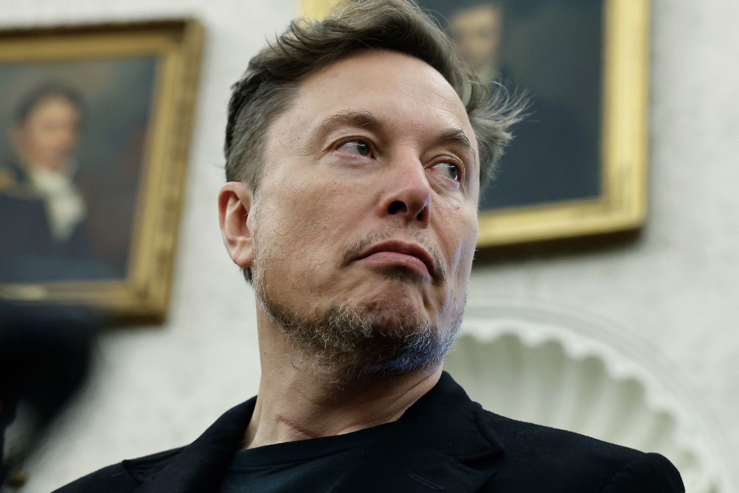 Elon Musk at the Oval Office. 